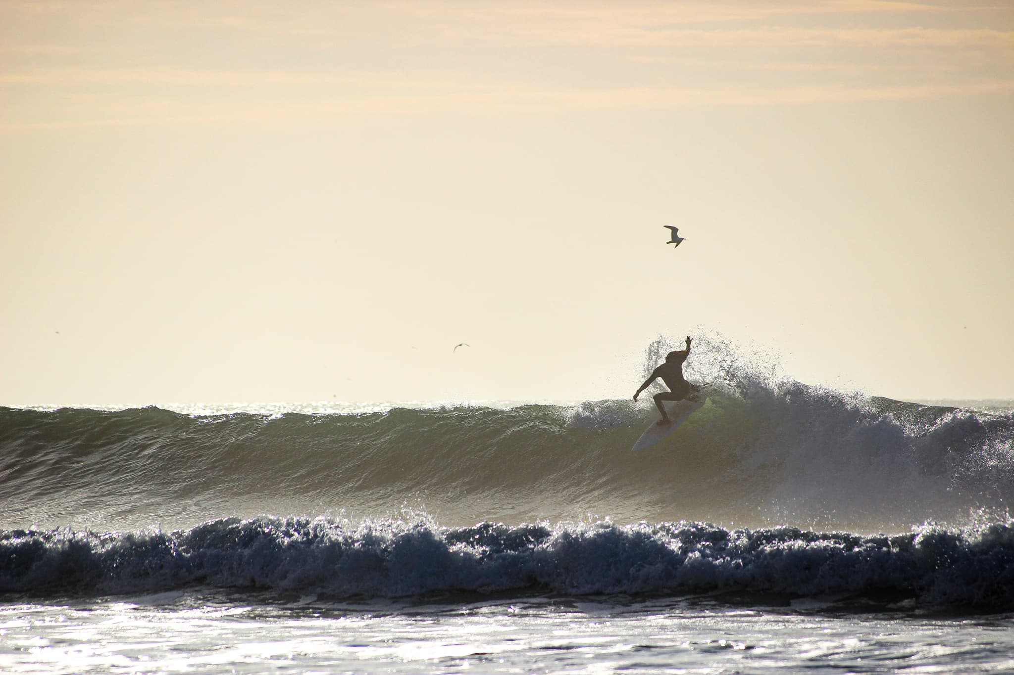 Surfer on an Atlantic wave at sunset in Essaouira, Morocco